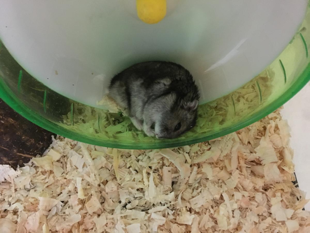 目を開けて寝る あおやまメディカル株式会社